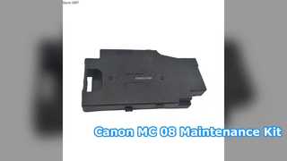Kit manutenzione inchiostro WorkForce WF-100 T2950 T295000