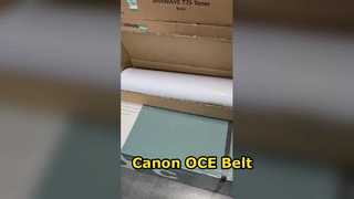 Nastro trasportatore Canon OCE varioPRINT 1060075550