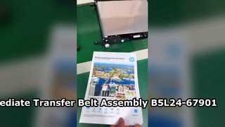 Gruppo ITB B5L24-67901 per cinghia di trasferimento intermedia HP M553 M555 M577 M578 HONGTAIPART