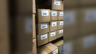 Gruppo rullo di trasferimento originale Xerox 019K16290